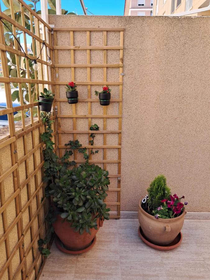 Apartament Apartamento Dama De Guardamar Guardamar del Segura Zewnętrze zdjęcie